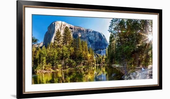 Sun Shining Through Trees in a Forest, Yosemite National Park, California, USA-null-Framed Photographic Print