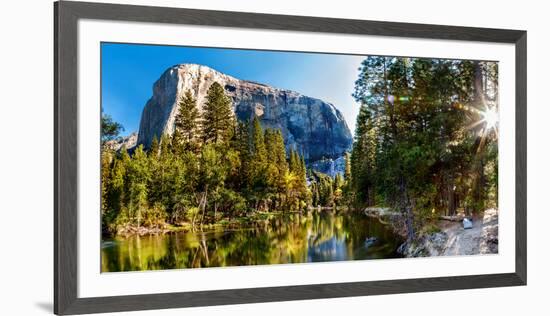 Sun Shining Through Trees in a Forest, Yosemite National Park, California, USA-null-Framed Photographic Print