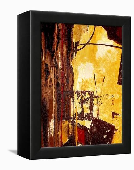 Sun Shower-Ruth Palmer-Framed Stretched Canvas