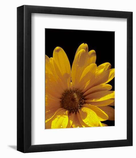 Sun Sparkled III-Monika Burkhart-Framed Photo