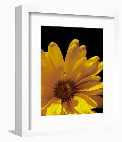 Sun Sparkled III-Monika Burkhart-Framed Photo