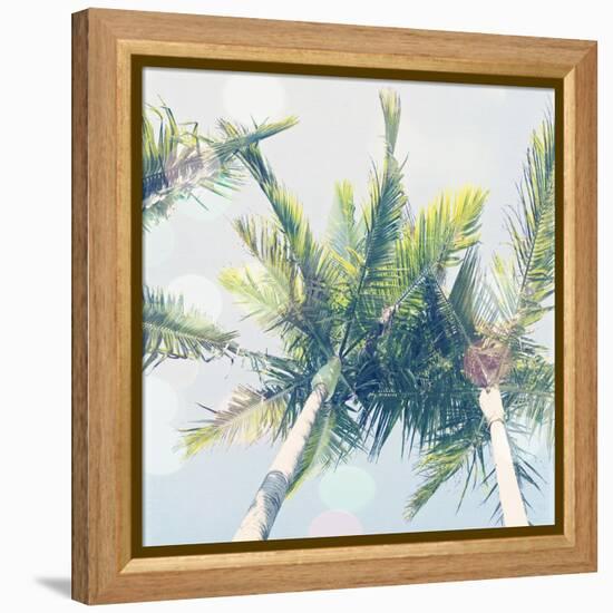 Sun Speckled Palm Trees-Susannah Tucker-Framed Stretched Canvas