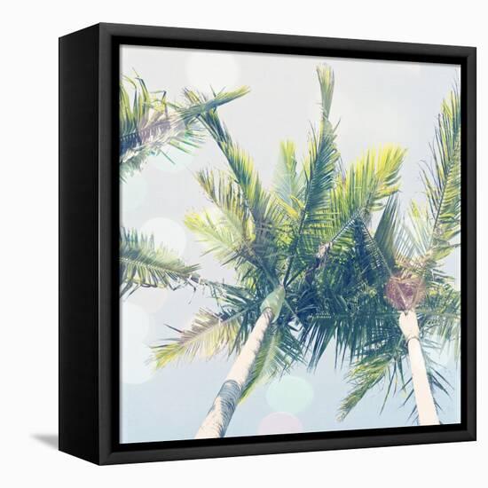 Sun Speckled Palm Trees-Susannah Tucker-Framed Stretched Canvas