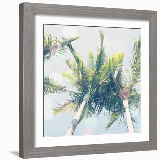 Sun Speckled Palm Trees-Susannah Tucker-Framed Art Print