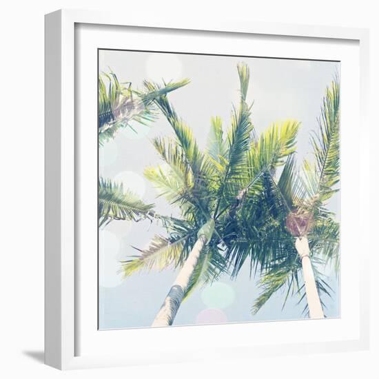 Sun Speckled Palm Trees-Susannah Tucker-Framed Art Print