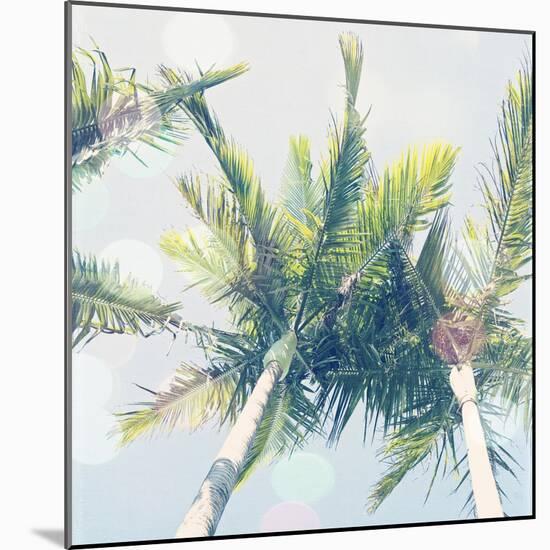 Sun Speckled Palm Trees-Susannah Tucker-Mounted Art Print