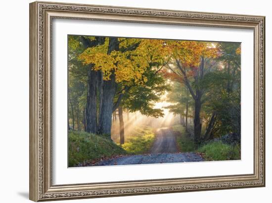 Sun Streaming Through-Orah Moore-Framed Art Print