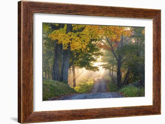 Sun Streaming Through-Orah Moore-Framed Art Print