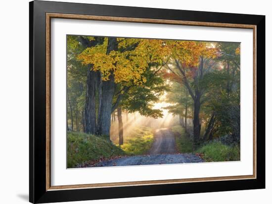 Sun Streaming Through-Orah Moore-Framed Art Print