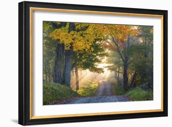 Sun Streaming Through-Orah Moore-Framed Art Print