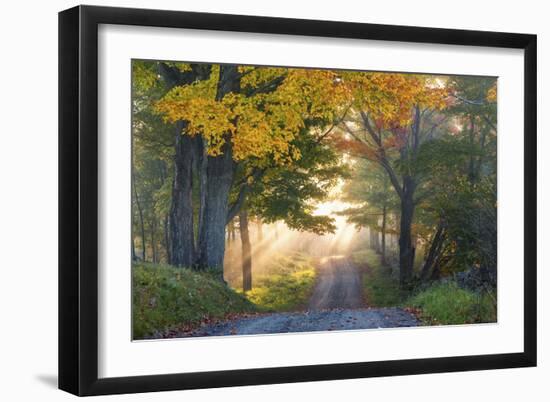 Sun Streaming Through-Orah Moore-Framed Art Print