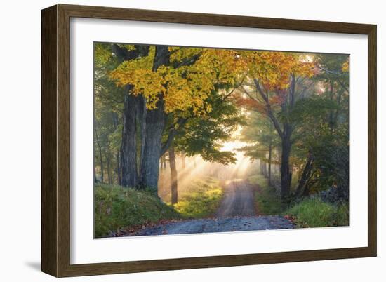 Sun Streaming Through-Orah Moore-Framed Art Print