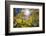 Sun Through Autumn Leaves, Switzerland, Europe-Angelo Cavalli-Framed Photographic Print