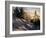 Sun Through Trees, Rondablikk, Norway, Scandinavia-David Poole-Framed Photographic Print