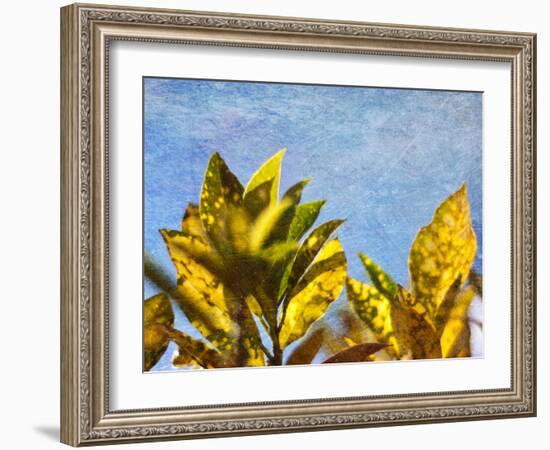 Sun Toward I-Emily Robinson-Framed Photographic Print