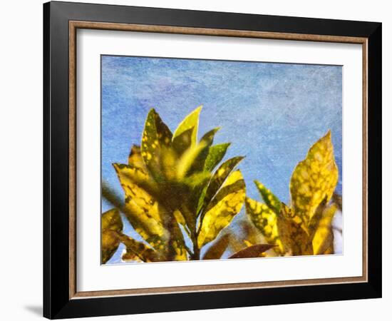 Sun Toward I-Emily Robinson-Framed Photographic Print