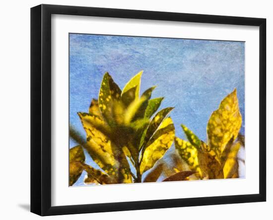 Sun Toward I-Emily Robinson-Framed Photographic Print