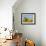 Sun Toward I-Emily Robinson-Framed Photographic Print displayed on a wall