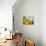 Sun Toward II-Emily Robinson-Photographic Print displayed on a wall