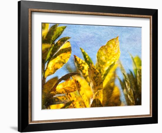 Sun Toward II-Emily Robinson-Framed Photographic Print