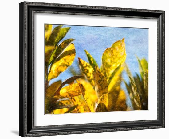 Sun Toward II-Emily Robinson-Framed Photographic Print