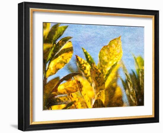 Sun Toward II-Emily Robinson-Framed Photographic Print