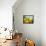 Sun Toward II-Emily Robinson-Framed Premier Image Canvas displayed on a wall