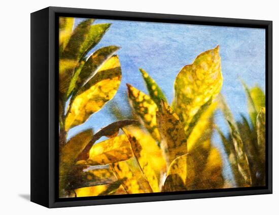 Sun Toward II-Emily Robinson-Framed Premier Image Canvas