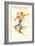 Sun Valley, Idaho, Cross Country Skier-null-Framed Premium Giclee Print