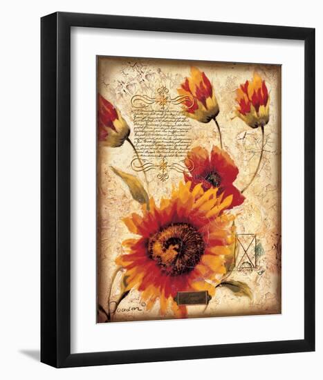 Sun Valleys-Joadoor-Framed Art Print