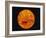 Sun-Stocktrek Images-Framed Photographic Print