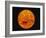 Sun-Stocktrek Images-Framed Photographic Print