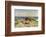 Sunbathing on the Dunes-Paul Fischer-Framed Giclee Print