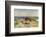 Sunbathing on the Dunes-Paul Fischer-Framed Giclee Print