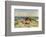 Sunbathing on the Dunes-Paul Fischer-Framed Giclee Print