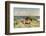 Sunbathing on the Dunes-Paul Fischer-Framed Giclee Print