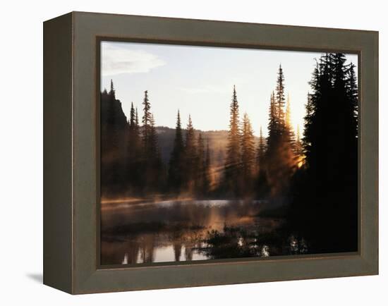 Sunbeam and Trees Reflecting in Lake, Mount Rainier National Park, Washington, USA-Adam Jones-Framed Premier Image Canvas