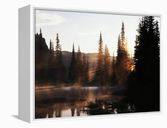 Sunbeam and Trees Reflecting in Lake, Mount Rainier National Park, Washington, USA-Adam Jones-Framed Premier Image Canvas