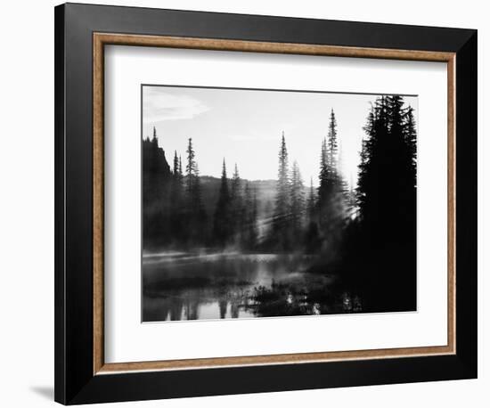 Sunbeam and Trees Reflecting in Lake, Mount Rainier National Park, Washington, USA-Adam Jones-Framed Photographic Print