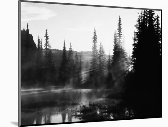 Sunbeam and Trees Reflecting in Lake, Mount Rainier National Park, Washington, USA-Adam Jones-Mounted Photographic Print