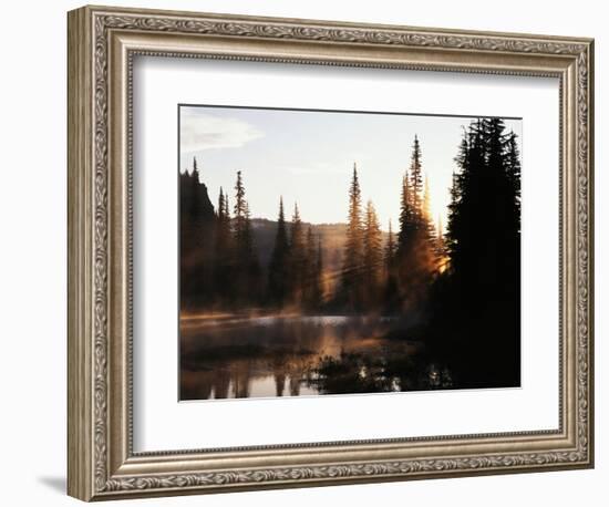 Sunbeam and Trees Reflecting in Lake, Mount Rainier National Park, Washington, USA-Adam Jones-Framed Photographic Print