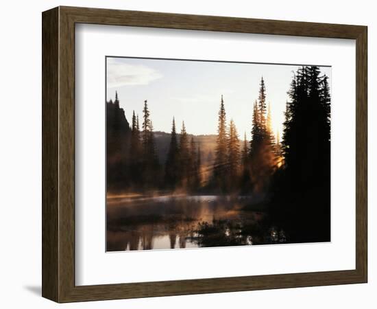 Sunbeam and Trees Reflecting in Lake, Mount Rainier National Park, Washington, USA-Adam Jones-Framed Photographic Print