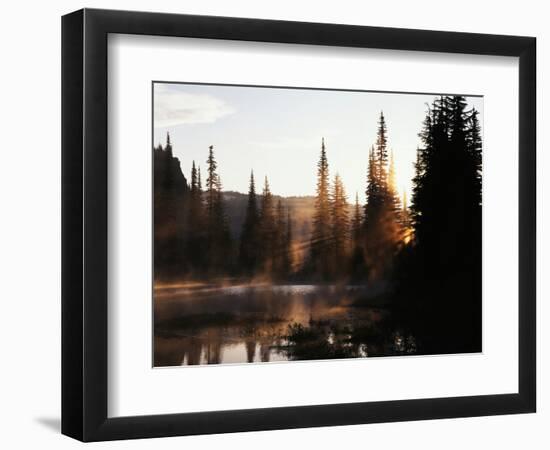 Sunbeam and Trees Reflecting in Lake, Mount Rainier National Park, Washington, USA-Adam Jones-Framed Photographic Print