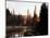 Sunbeam and Trees Reflecting in Lake, Mount Rainier National Park, Washington, USA-Adam Jones-Mounted Photographic Print