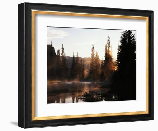 Sunbeam and Trees Reflecting in Lake, Mount Rainier National Park, Washington, USA-Adam Jones-Framed Photographic Print