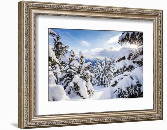 Sunbeam in the Snowy Woods Framed by the Winter Sunset, Bettmeralp, District of Raron-Roberto Moiola-Framed Photographic Print