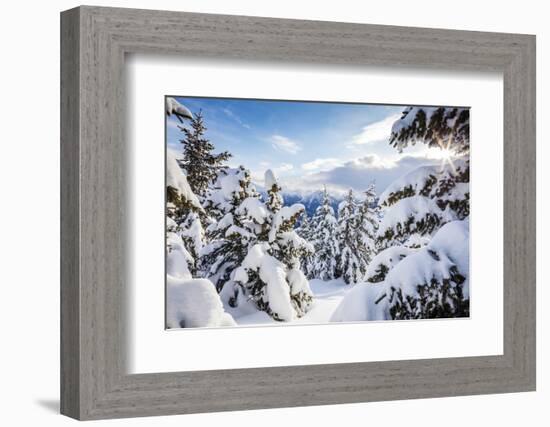 Sunbeam in the Snowy Woods Framed by the Winter Sunset, Bettmeralp, District of Raron-Roberto Moiola-Framed Photographic Print