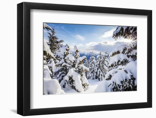 Sunbeam in the Snowy Woods Framed by the Winter Sunset, Bettmeralp, District of Raron-Roberto Moiola-Framed Photographic Print