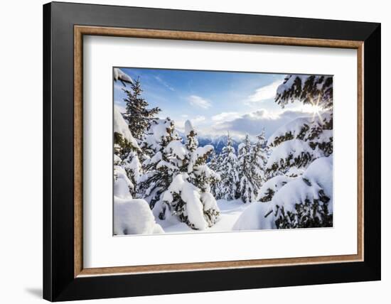 Sunbeam in the Snowy Woods Framed by the Winter Sunset, Bettmeralp, District of Raron-Roberto Moiola-Framed Photographic Print