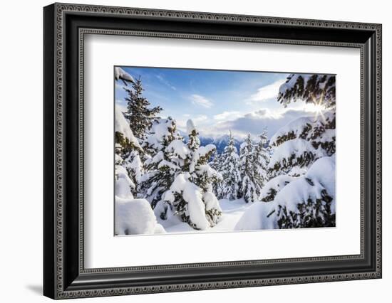 Sunbeam in the Snowy Woods Framed by the Winter Sunset, Bettmeralp, District of Raron-Roberto Moiola-Framed Photographic Print